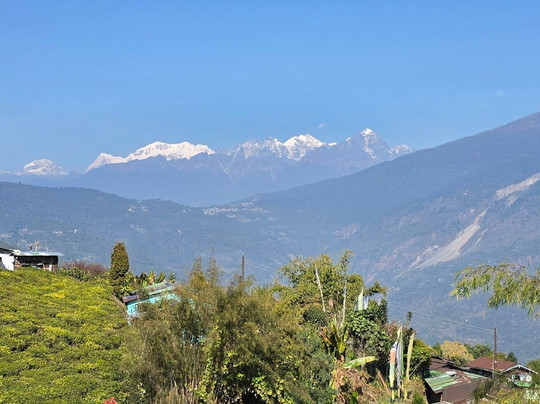 Temi Tea Garden-Temi必去景点