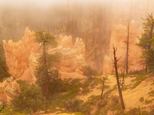 Swamp Canyon-布莱斯峡谷国家公园必去景点