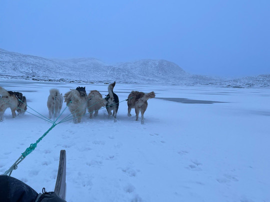 Diskobay Tours-伊卢利萨特必去景点