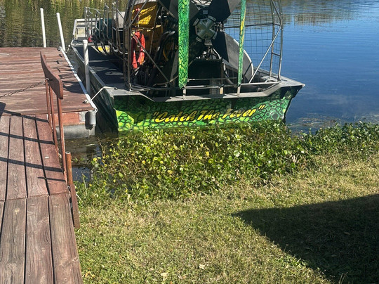 Swamp Fever Airboat Adventures-Lake Panasoffkee必去景点
