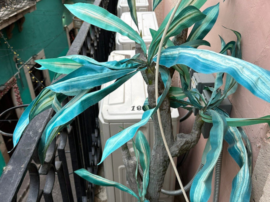 波萨达圣达菲旅馆主图