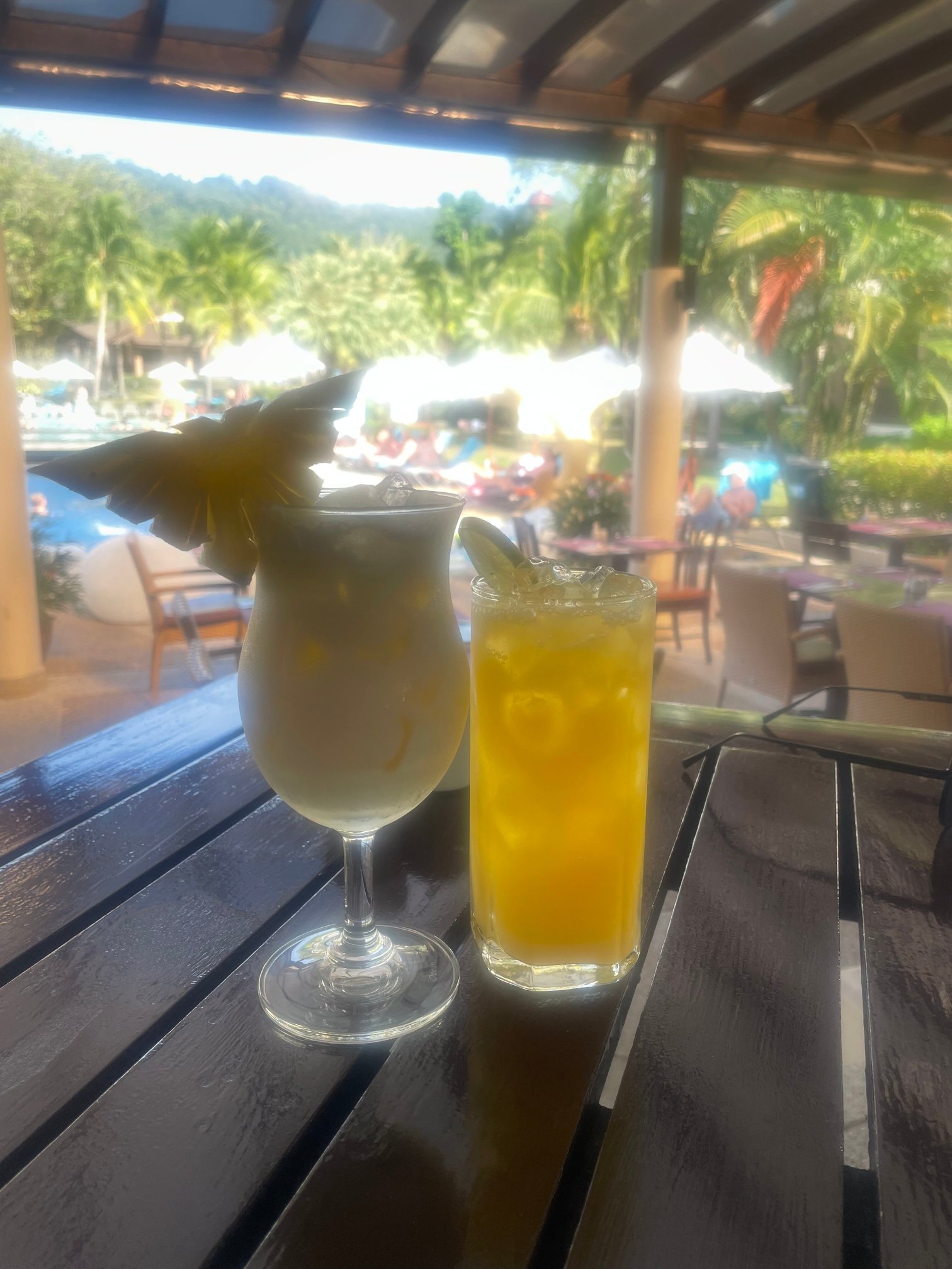 绿叶海滨度假村-官方