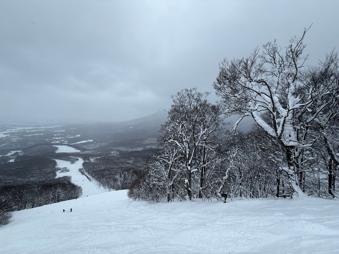 Hachimantai Resort Shimokura Ski Area-八幡平市必去景点