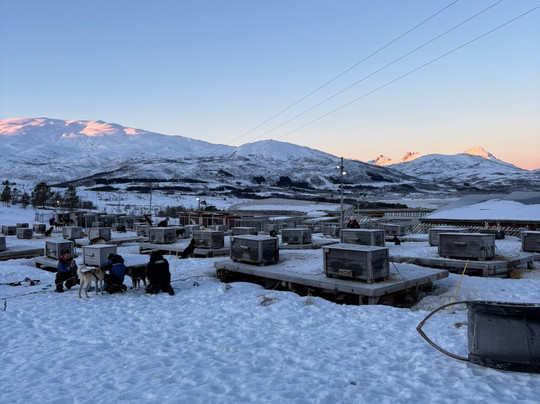 特罗姆瑟野外之旅-特罗姆瑟必去景点