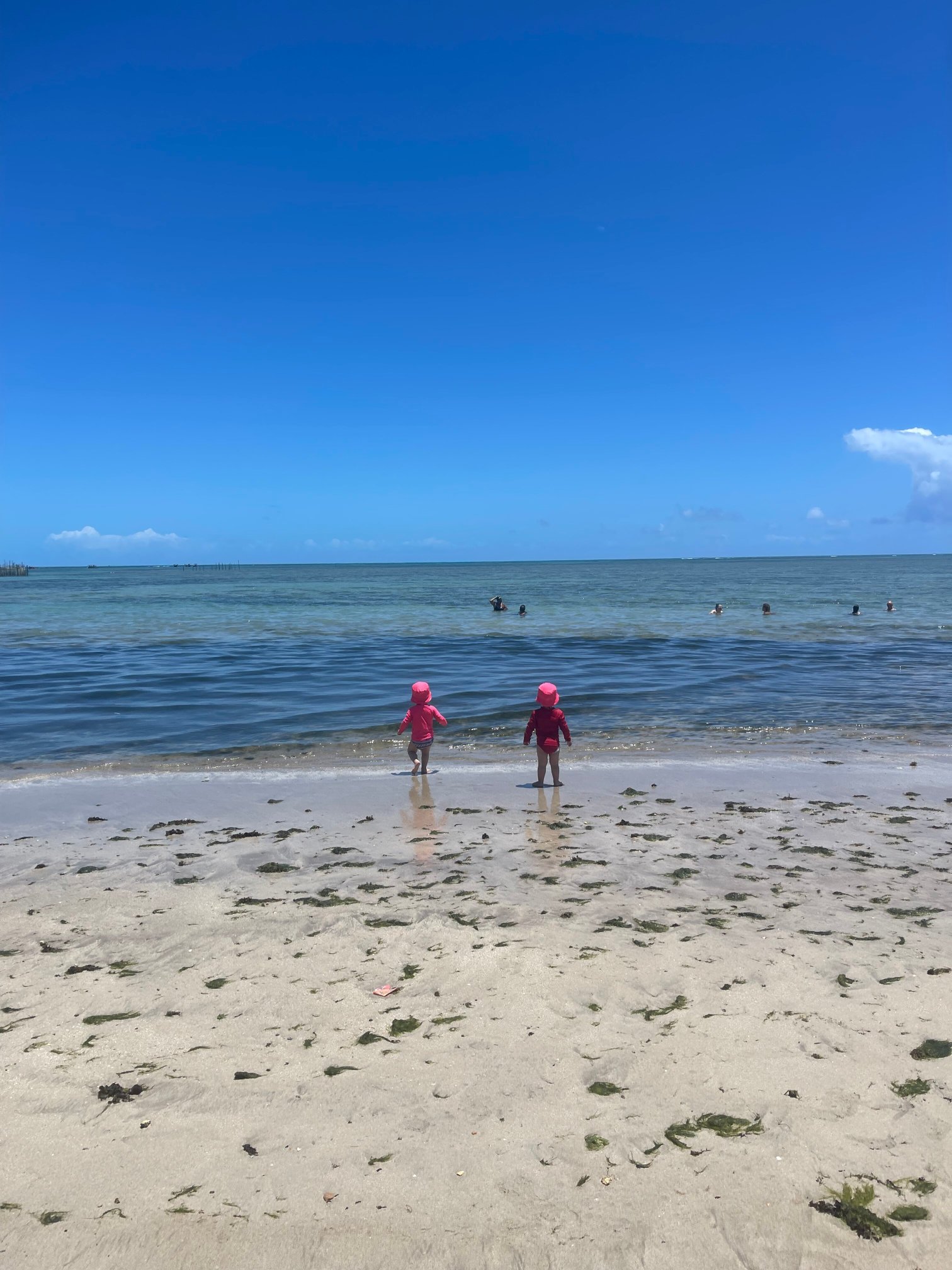 Palms Ponta Verde By Tropicalis-官方