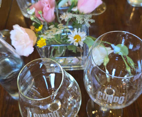 Cundo Altamira-La Consulta必去景点