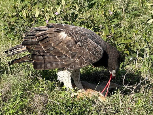 Takims Holidays-阿鲁沙必去景点