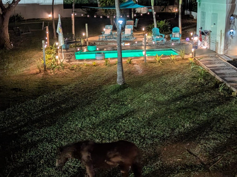 Coco Loco Guesthouse主图