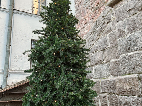 Tower of St. Olaf-维堡必去景点