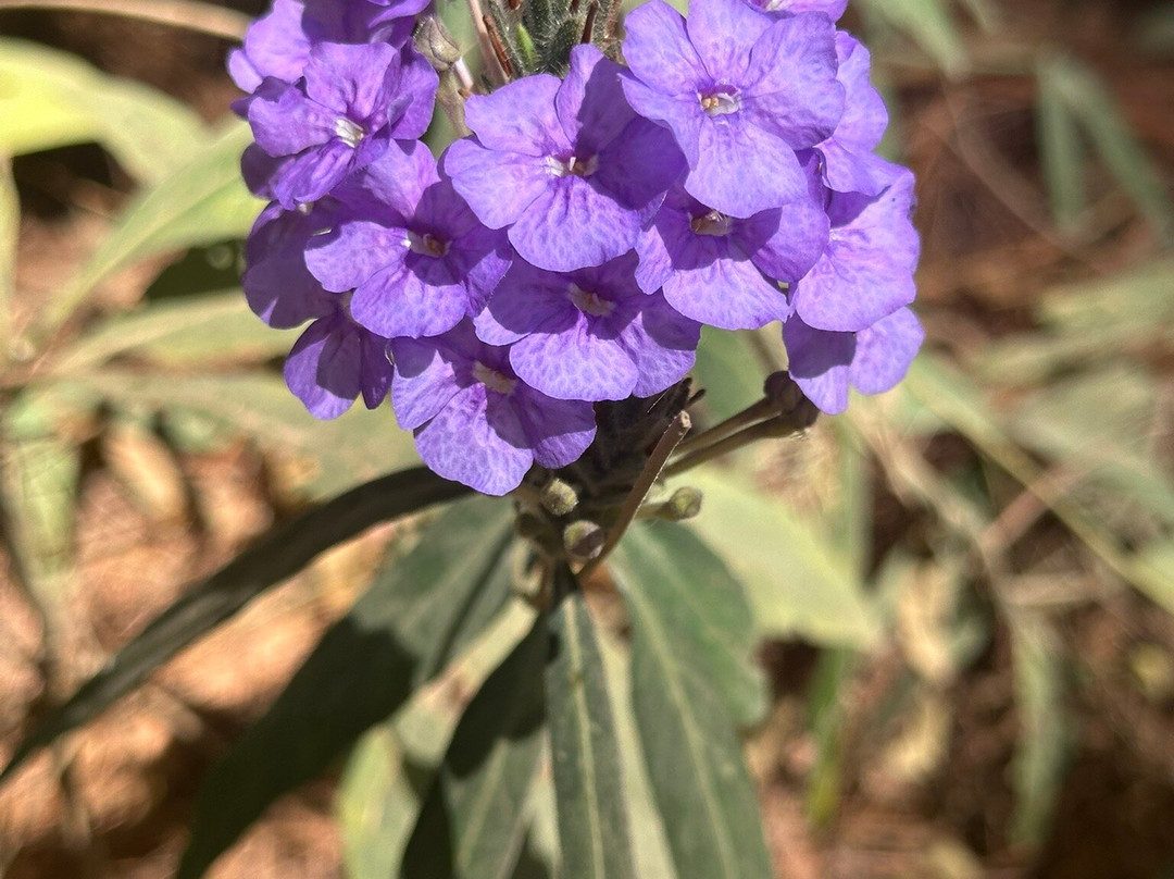 Trailhead-清迈必去景点