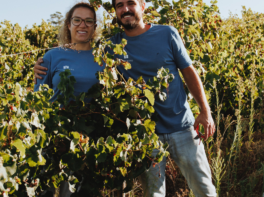 Margaval Vinhos-Serra e Junceira必去景点