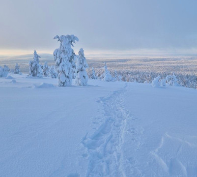 Seven Fells Up-Akaslompolo必去景点