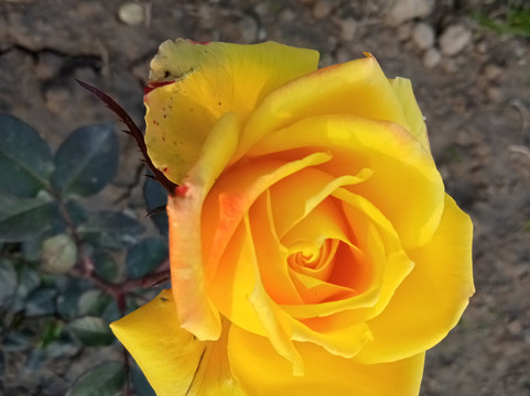 Jilani Park-拉合尔必去景点