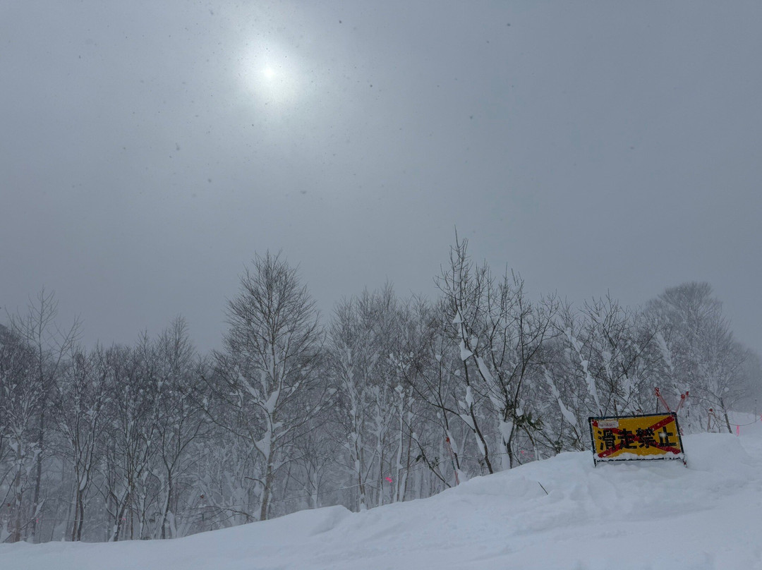 Iwate Kogen Snow Park-雫石町必去景点