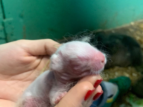 Farm Ventures-Roberts Creek必去景点