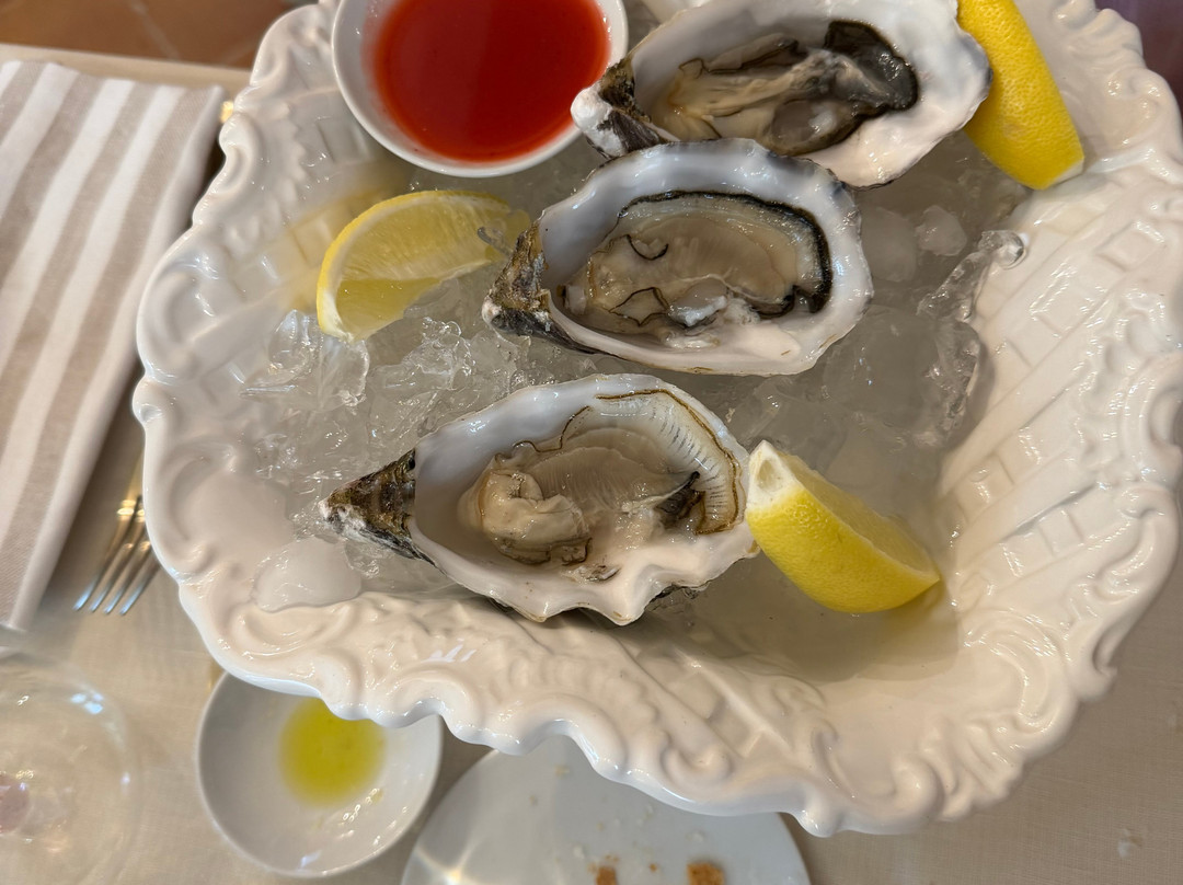 科洛尼亚度假村及温泉主图