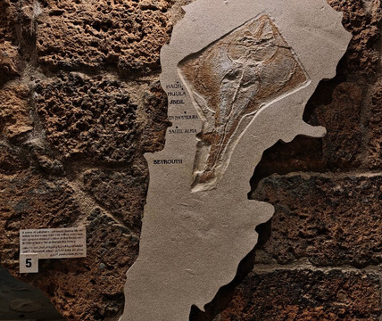 Memory of Time-朱拜勒必去景点