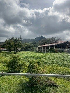 Panama Custom Tours-巴拿马城必去景点