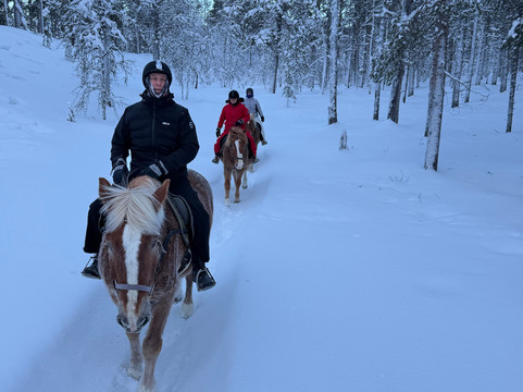 Polaris Point Horses-撒利塞卡必去景点