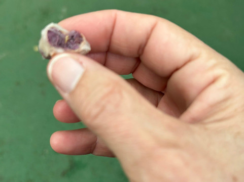 MonteTours-蒙特沃德必去景点