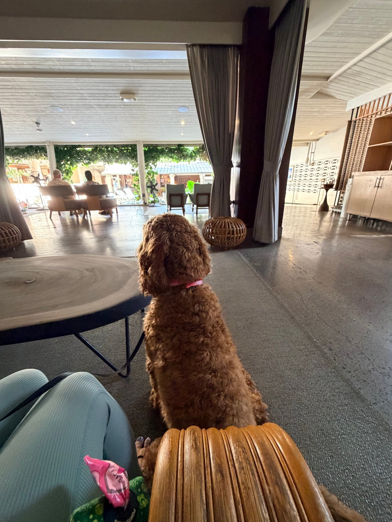 冲浪顶酒店及游泳俱乐部-官方