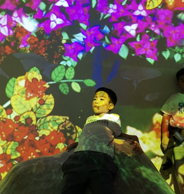 海南兴隆希尔顿逸林滨湖度假酒店主图