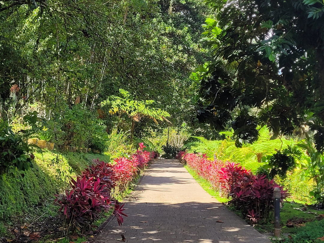 Domaine d'Emeraude-Le Morne-Rouge必去景点