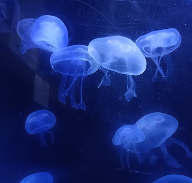 Lake District Coast Aquarium-Maryport必去景点