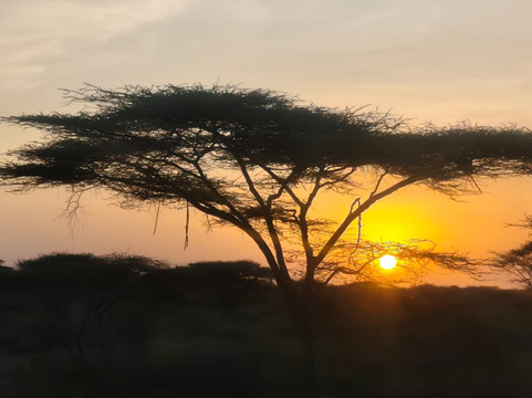 Omo Valley With Gino