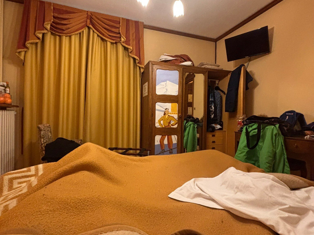 Savoy Edelweiss主图