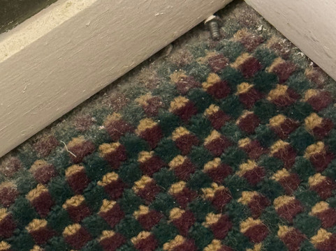 苏格兰旅馆主图