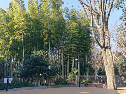 Benzaiten Pond-狛江市必去景点