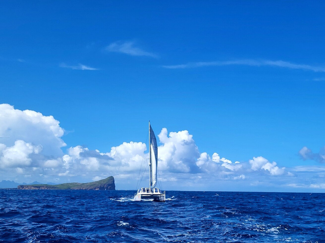 Blue Safari-卓欧毕雪必去景点