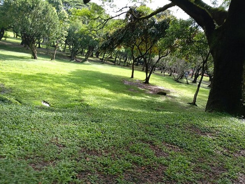 University Of The Philippines - Diliman-奎松市必去景点