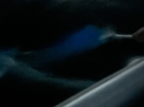 BioIsland-Cabezas必去景点