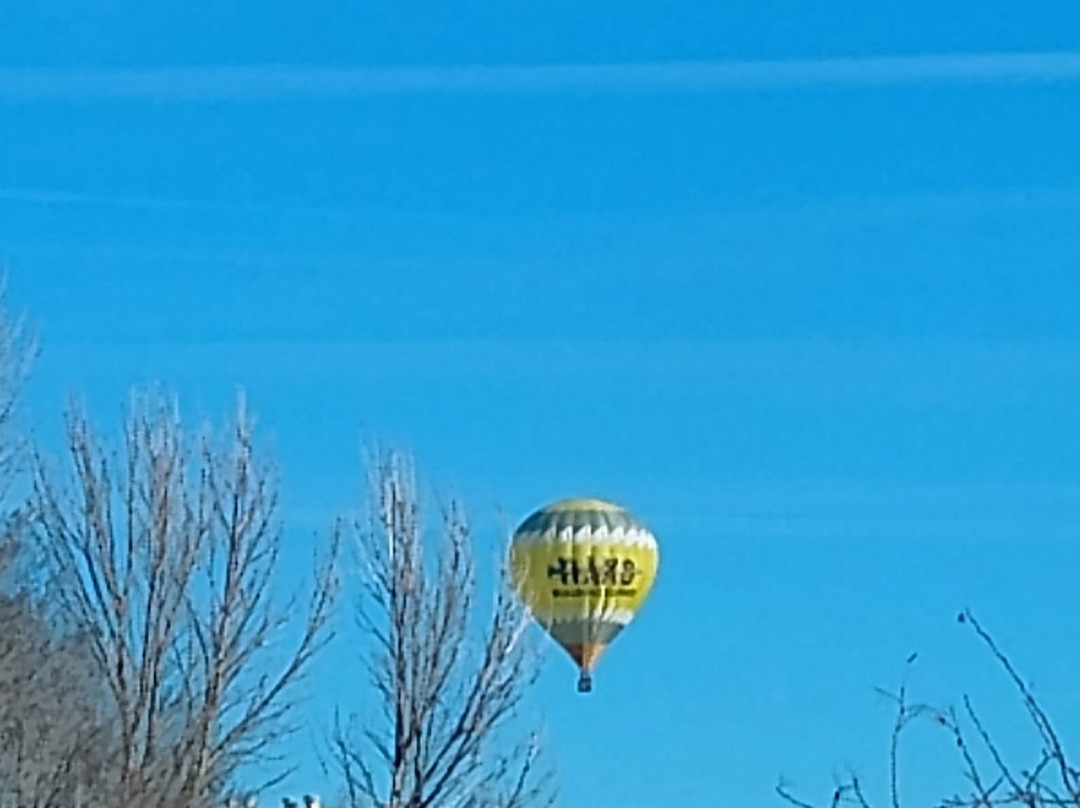 阿尔伯克基北德鲁里套房酒店主图