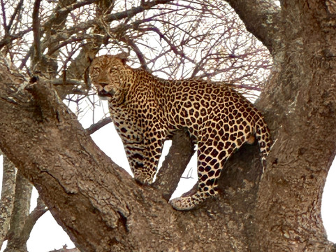 Bamboo Ecotours-坎帕拉必去景点