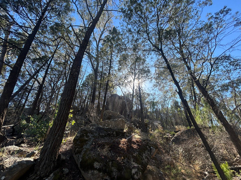 Beechworth Cascades-比奇沃思必去景点