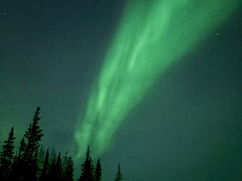 Discover Churchill Tours-丘吉尔必去景点