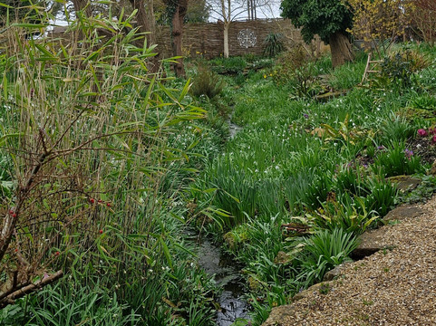 East Lambrook Manor Gardens-South Petherton必去景点