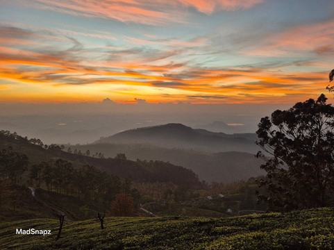Haputale Tuk Tuk Tours
