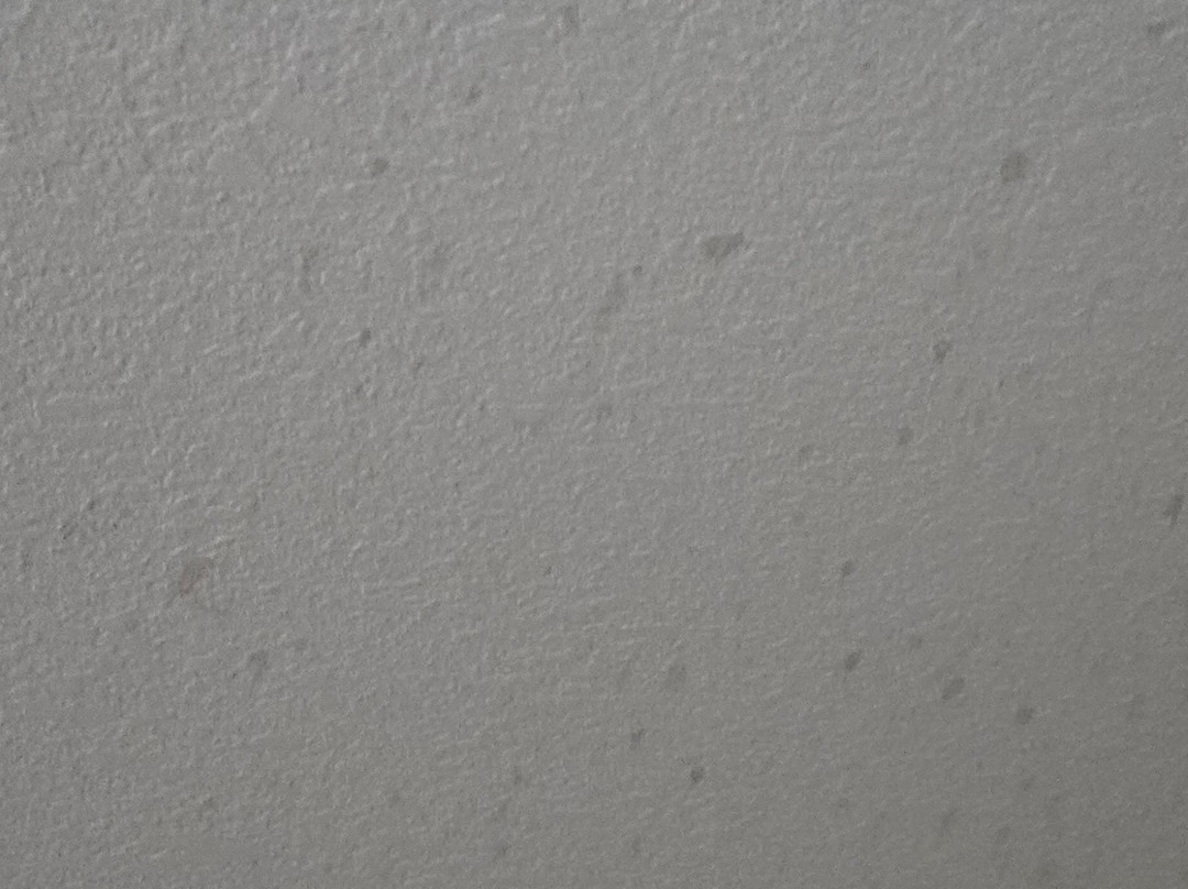 品质酒店及套房-彭萨科拉湾景主图