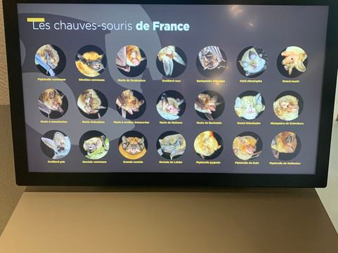 Maison de la Chauve-Souris-Kernascleden必去景点