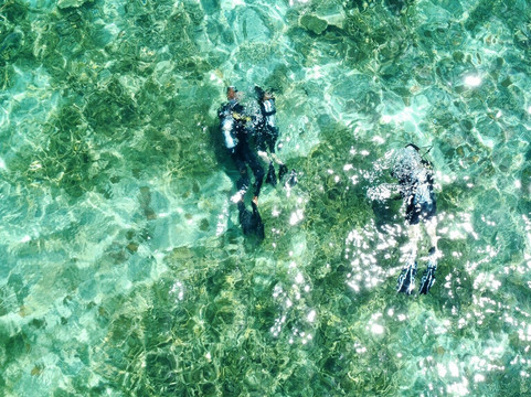 Dive Passion Mauritius-卓得多斯必去景点