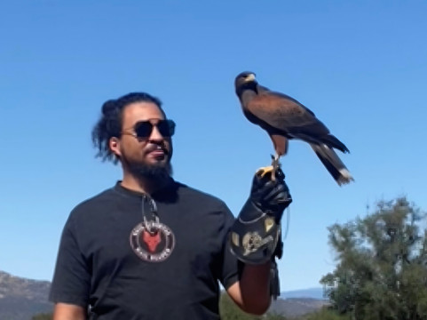 Sky Falconry-Alpine必去景点