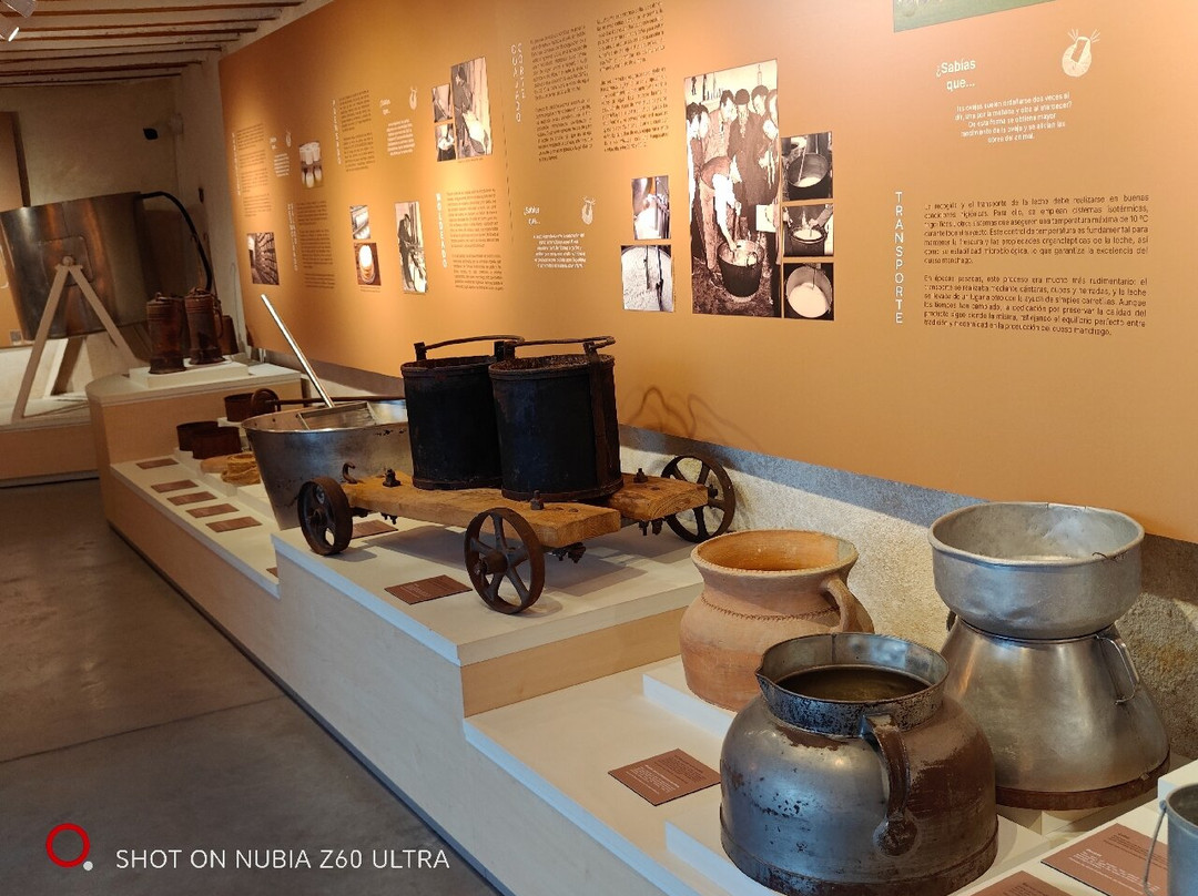 Museo Del Queso Manchego-曼萨纳雷斯必去景点