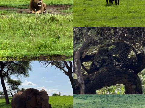 Wild Tracks/Kahawa - Coffee Walks-Usa River必去景点