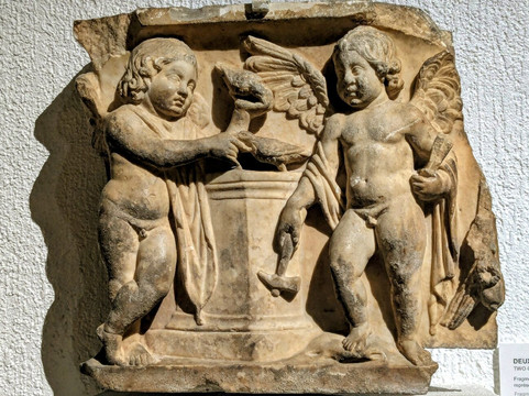 高卢—罗马文化博物馆-里昂必去景点