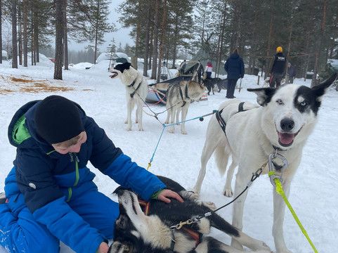 Trysil Husky-Torberget必去景点