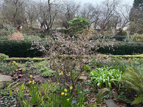 Capel Manor Gardens-恩菲尔德必去景点